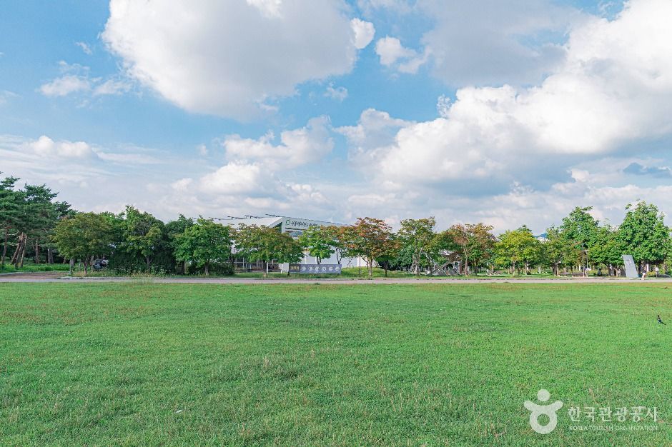 서울_평화잔디광장 (5)