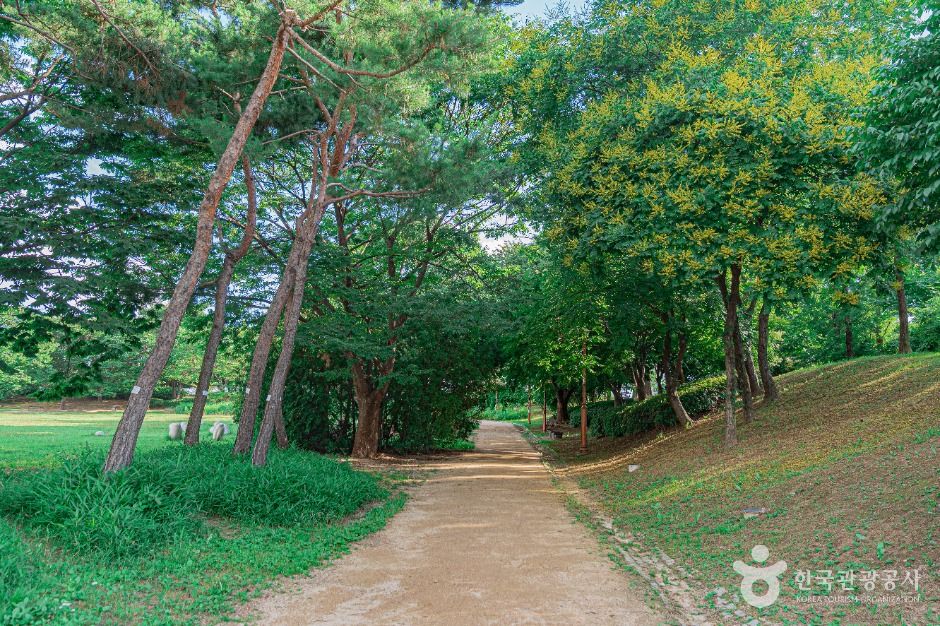 서울_평화잔디광장 (1)