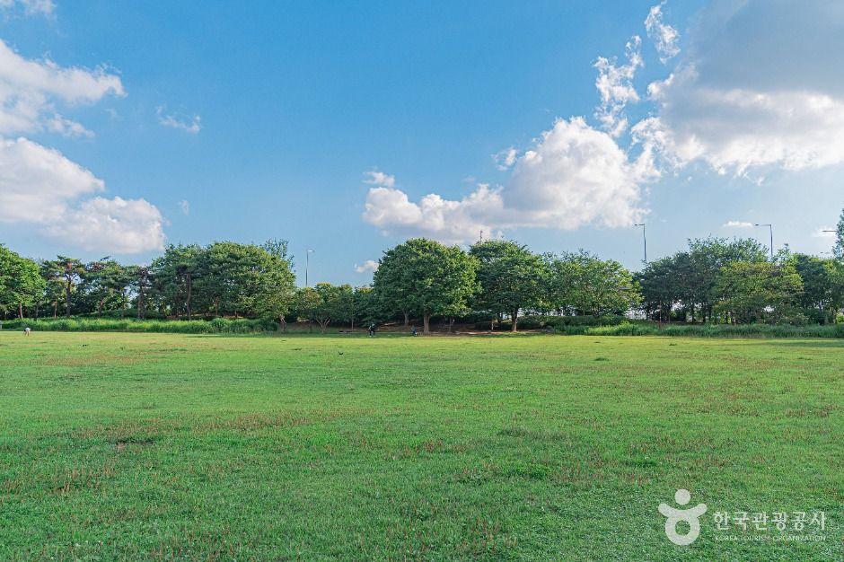 서울_평화잔디광장 (2)