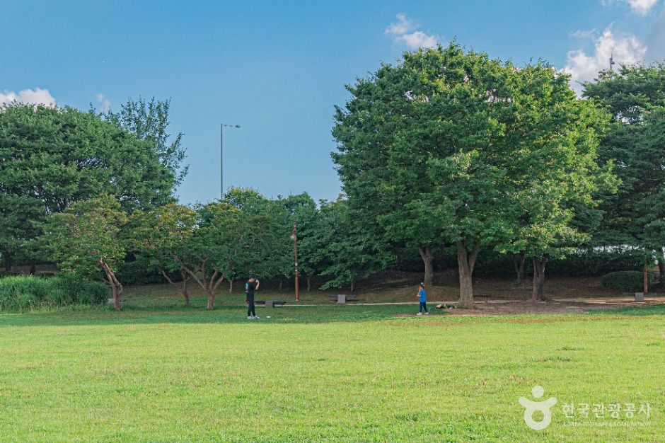 서울_평화잔디광장 (3)