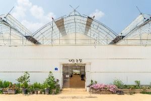 나눔농장(부천)