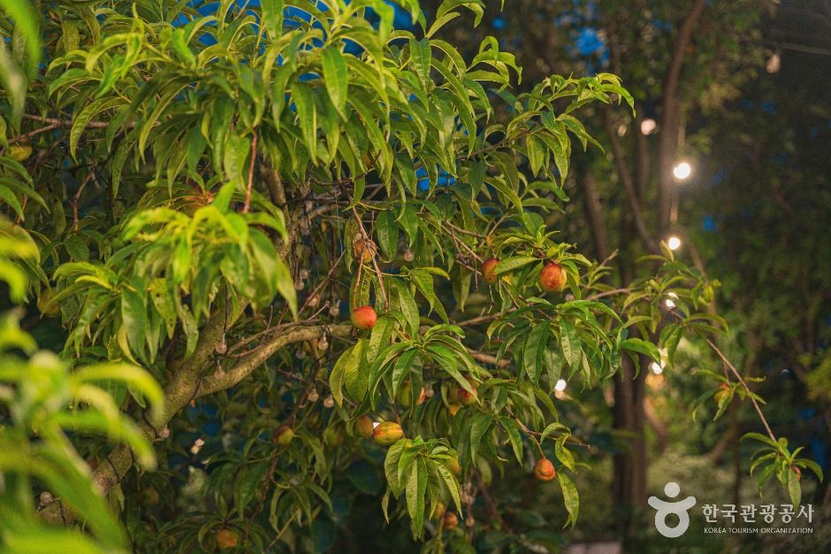 서울_플레이스콤마 (4)