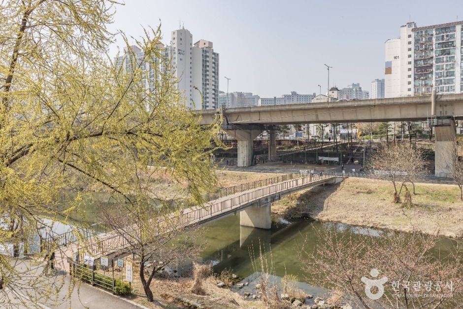 서울_하동매실거리 (11)