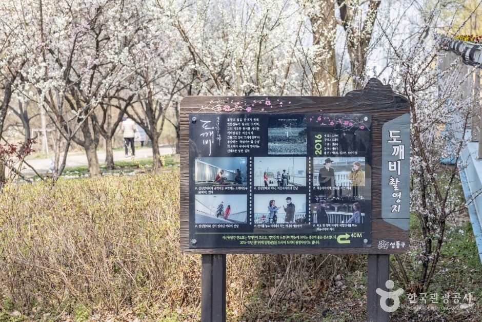 서울_하동매실거리 (12)