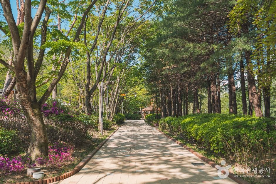 서울_한솔공원 (6)