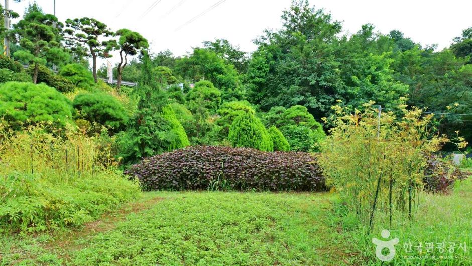 허브체험공원 (3)