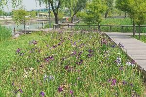 서울식물원 호수공원