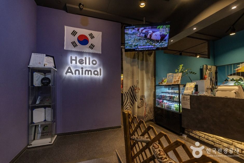 서울도봉_헬로애니멀 (1)