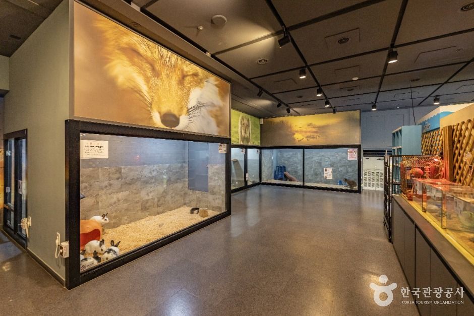 서울도봉_헬로애니멀 (2)