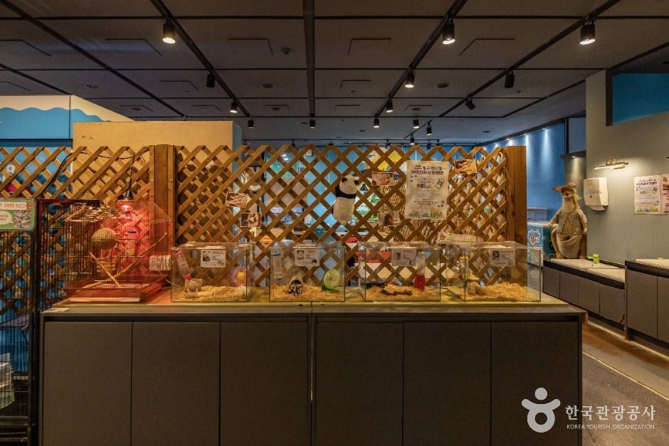 서울도봉_헬로애니멀 (3)