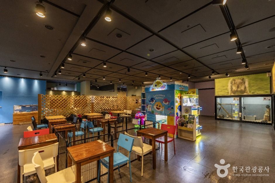 서울도봉_헬로애니멀 (6)