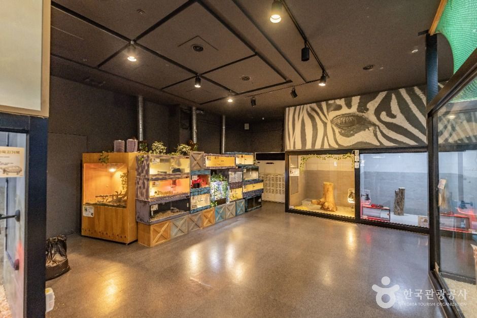 서울도봉_헬로애니멀 (8)