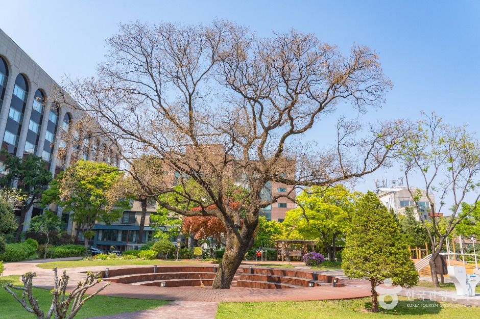 서울_현대원서공원 (3)