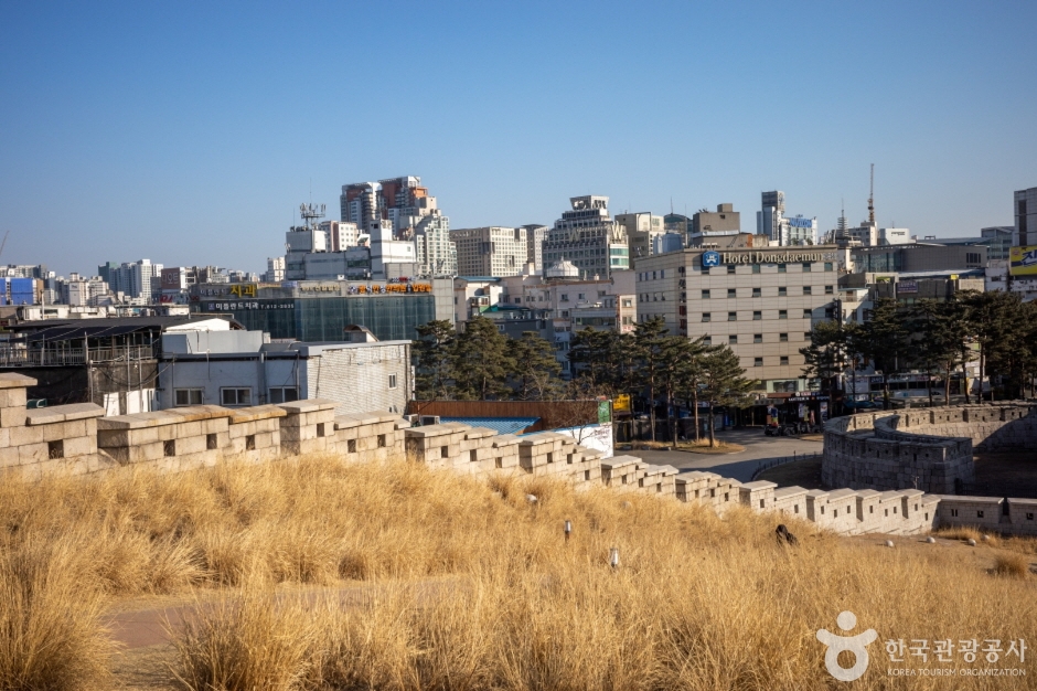 흥인지문공원 (6)