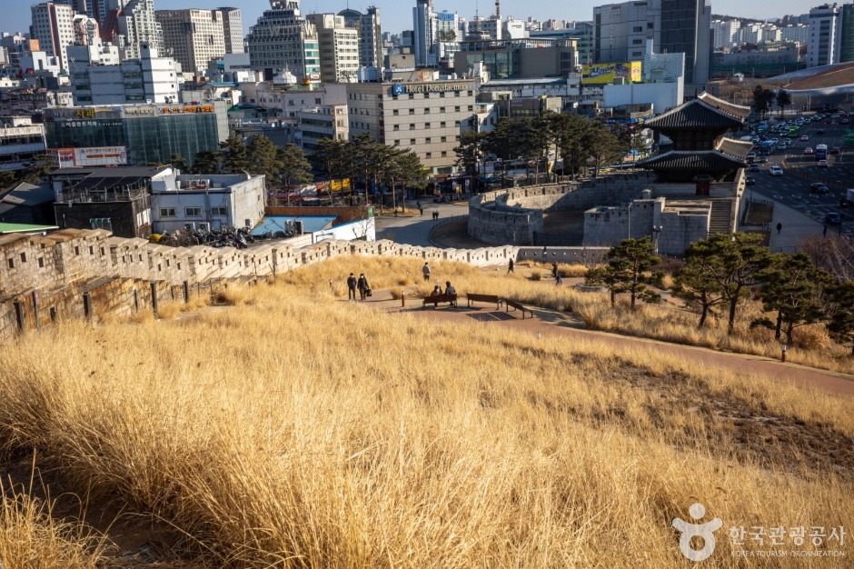흥인지문공원 (8)
