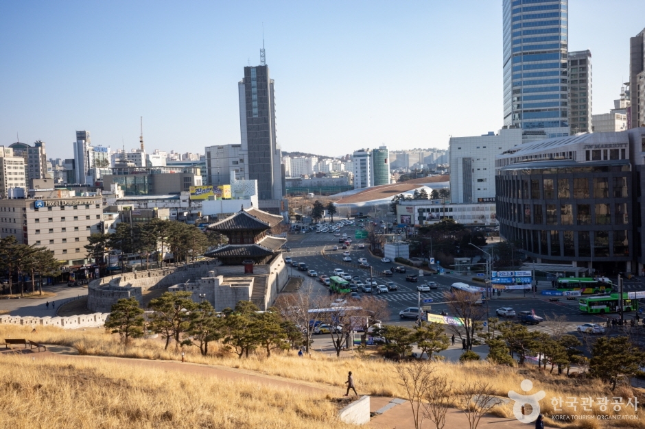 흥인지문공원 (11)