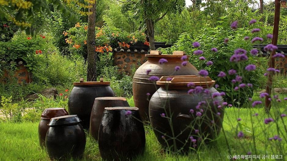 세종_국립세종수목원 (6)