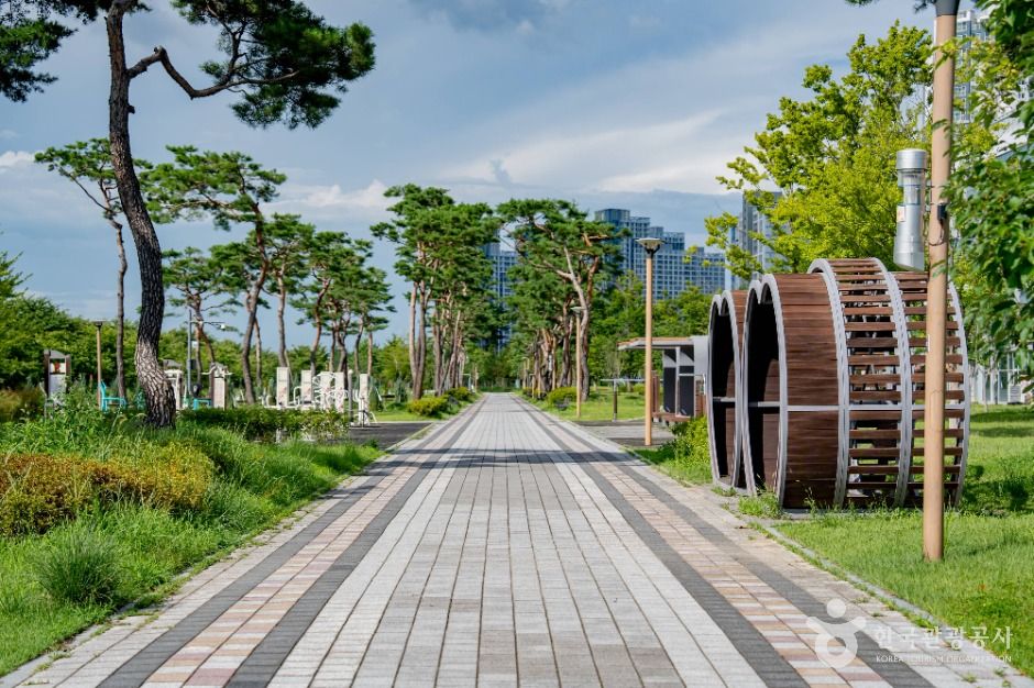 세종_금강수변공원 (6)