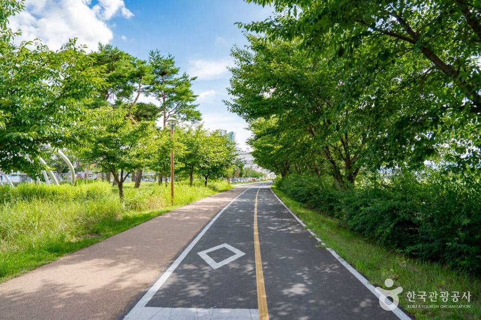 세종_금강수변공원 (7)