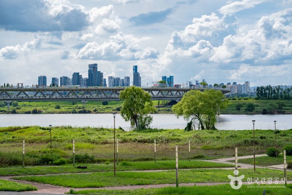 세종_금강수변공원 (8)