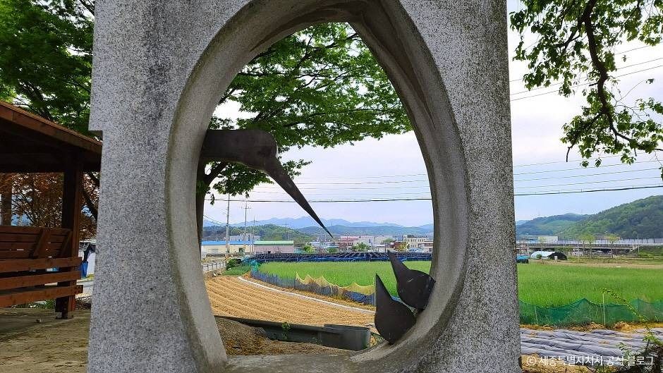 세종_금남 백로 서식지 (1)