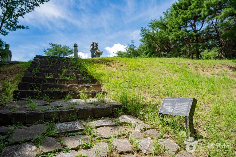 세종_김종서 장군 묘 (7)