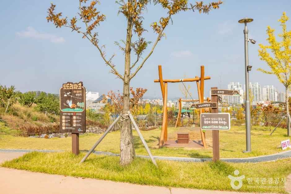 세종_농촌테마공원 도도리파크_5