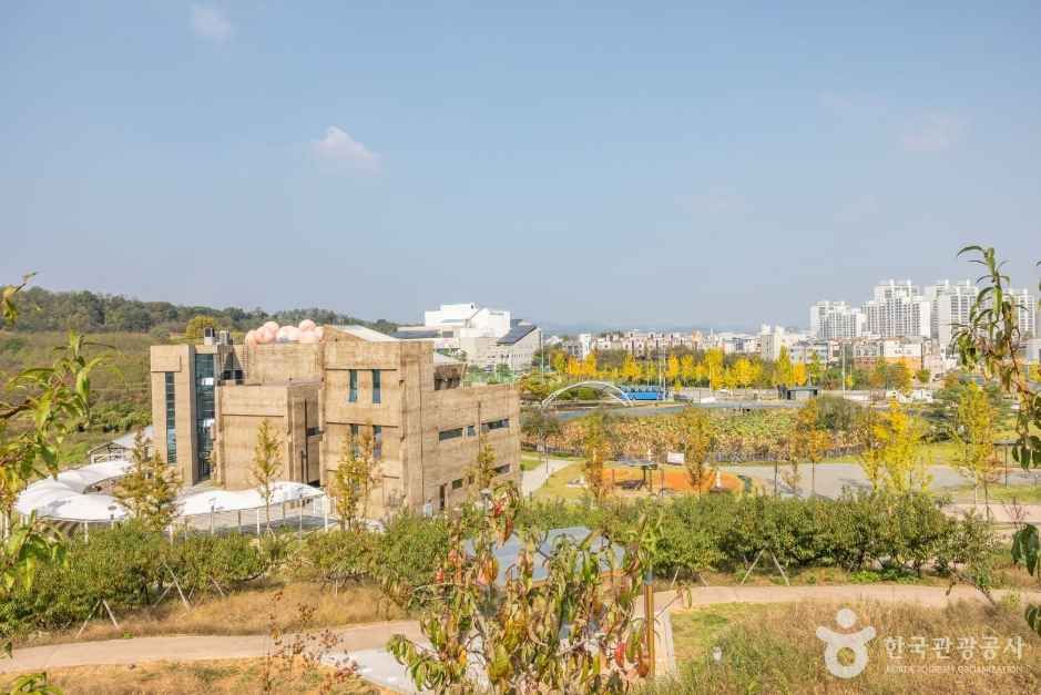 세종_농촌테마공원 도도리파크_7