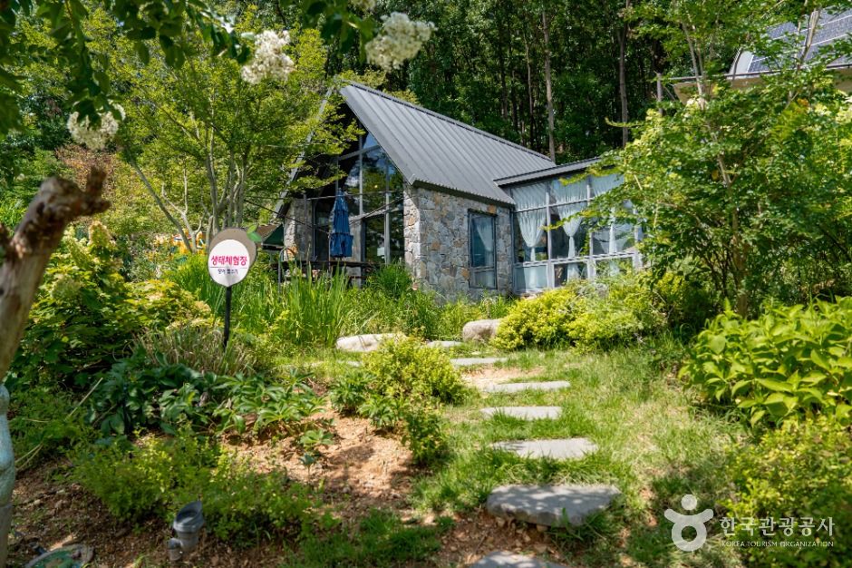 세종_도토리숲키즈파크 (2)