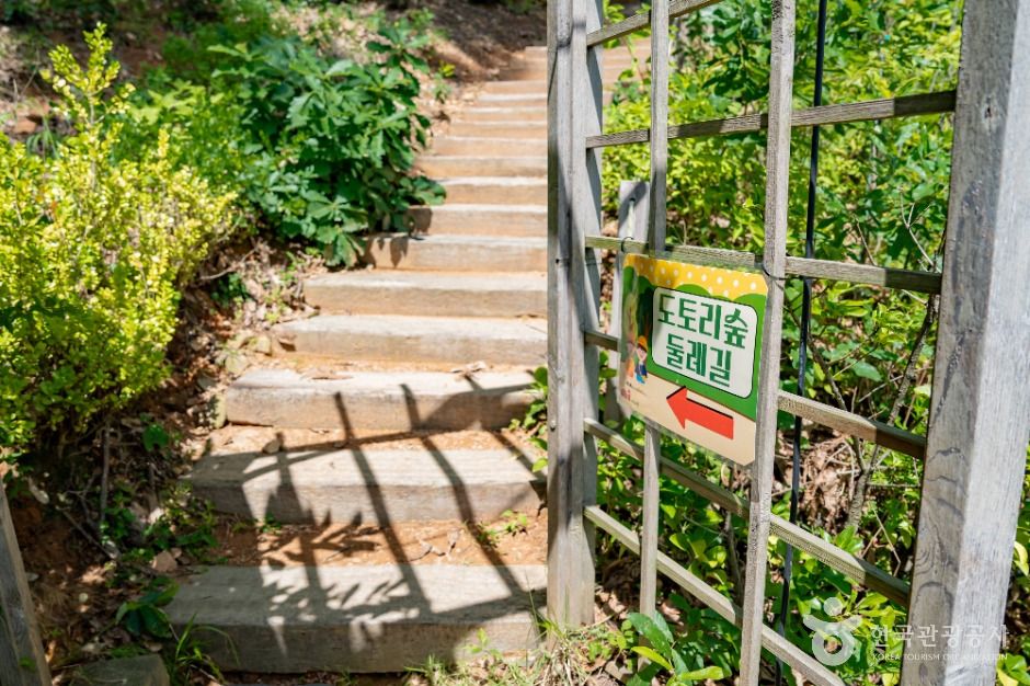 세종_도토리숲키즈파크 (4)