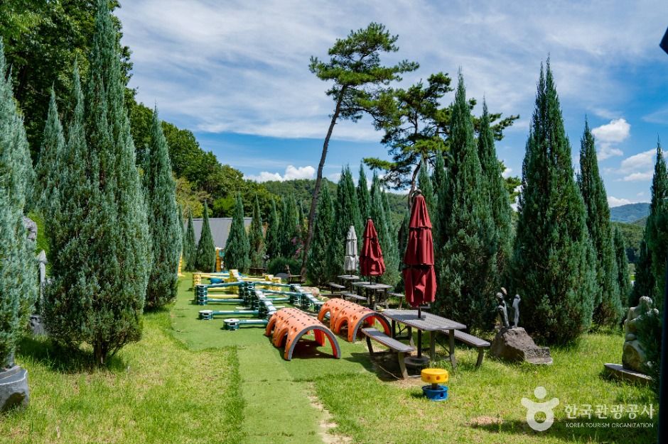 세종_도토리숲키즈파크 (5)