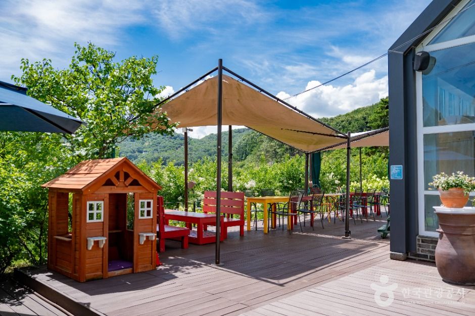 세종_도토리숲키즈파크 (7)