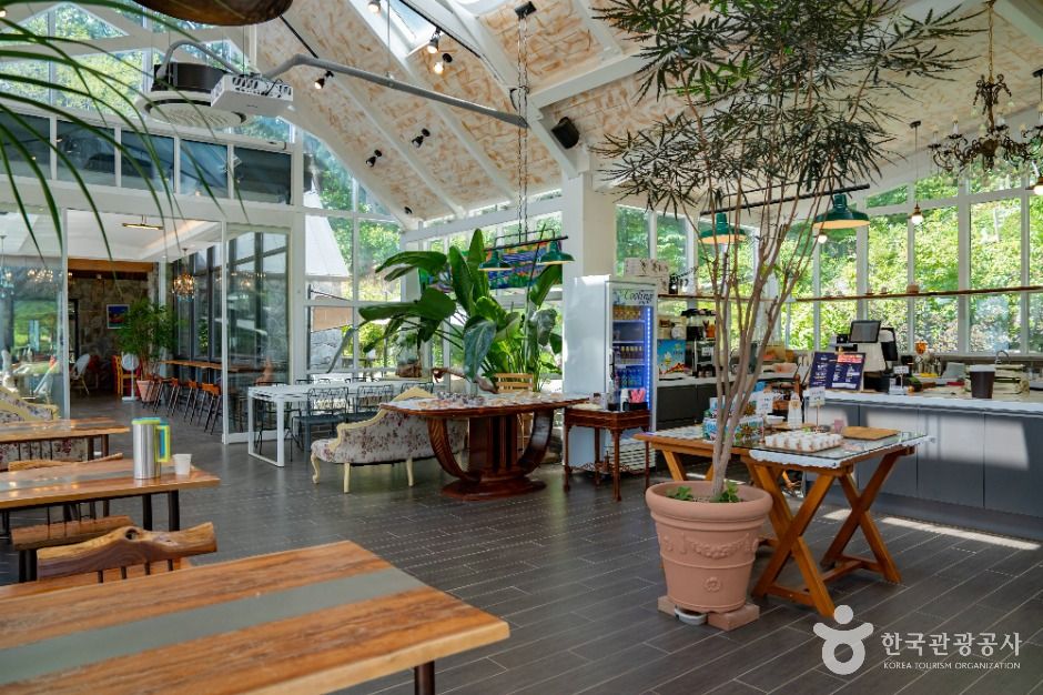 세종_도토리숲키즈파크 (8)