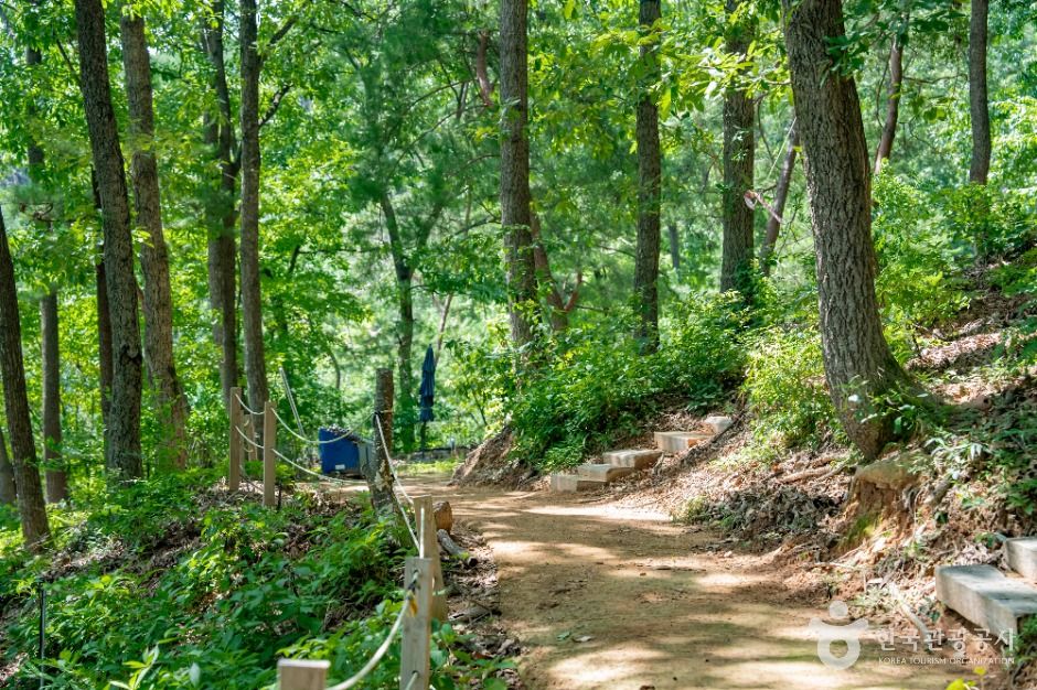 세종_도토리숲키즈파크 (9)