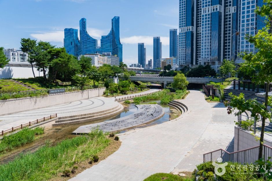 세종_방축천음악분수 (1)