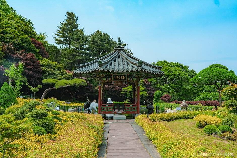 세종 아이와 가볼만한 곳_베어트리 파크_1-13