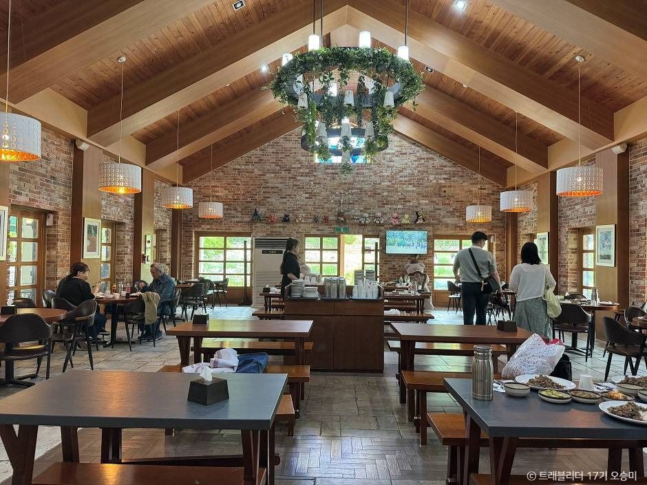 세종 아이와 가볼만한 곳_베어트리 파크_1-5