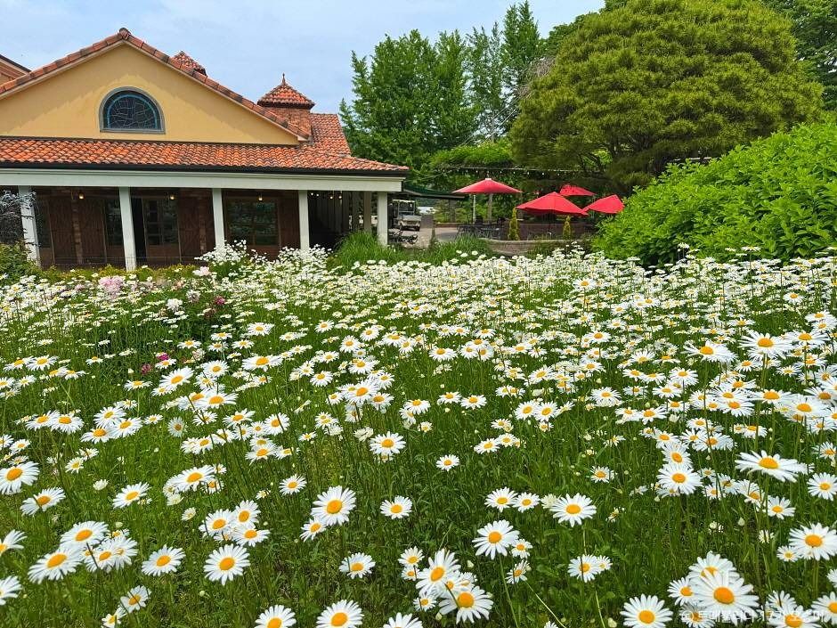 세종 아이와 가볼만한 곳_베어트리 파크_1-8