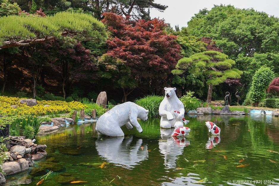 세종 아이와 가볼만한 곳_베어트리 파크_1-14