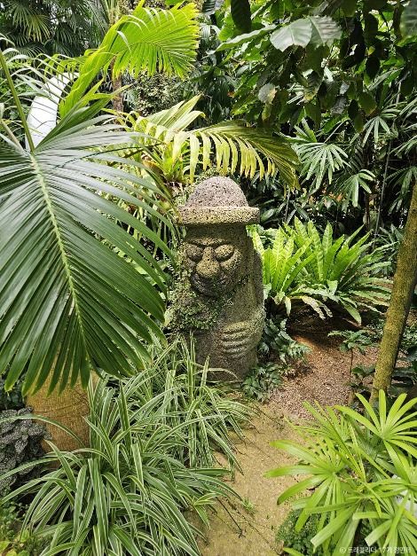 세종 아이와 가볼만한 곳_베어트리 파크_1-16