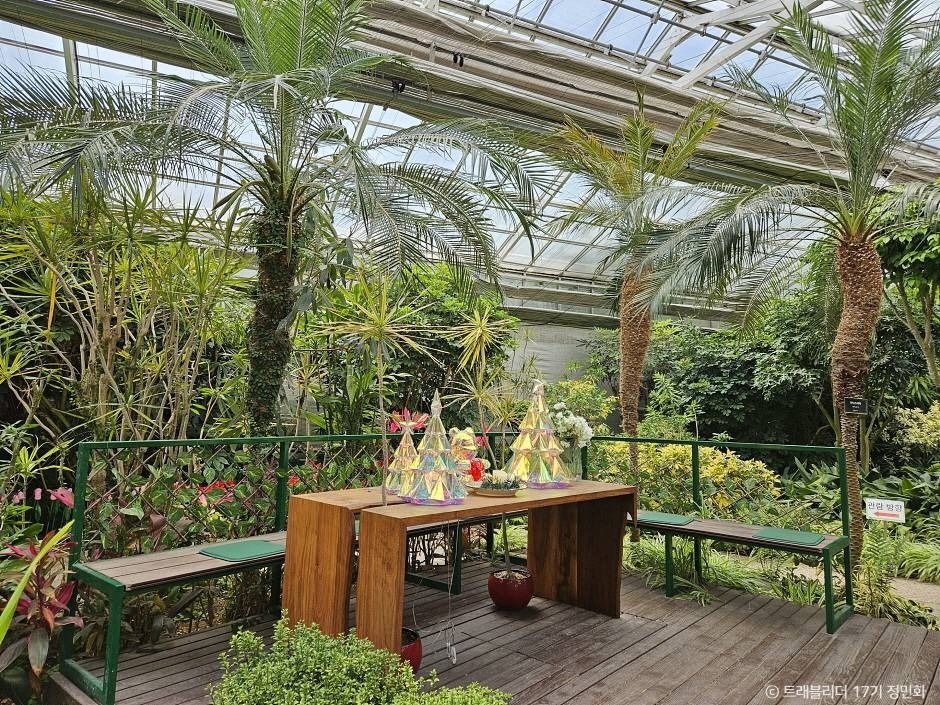 세종 아이와 가볼만한 곳_베어트리 파크_1-15