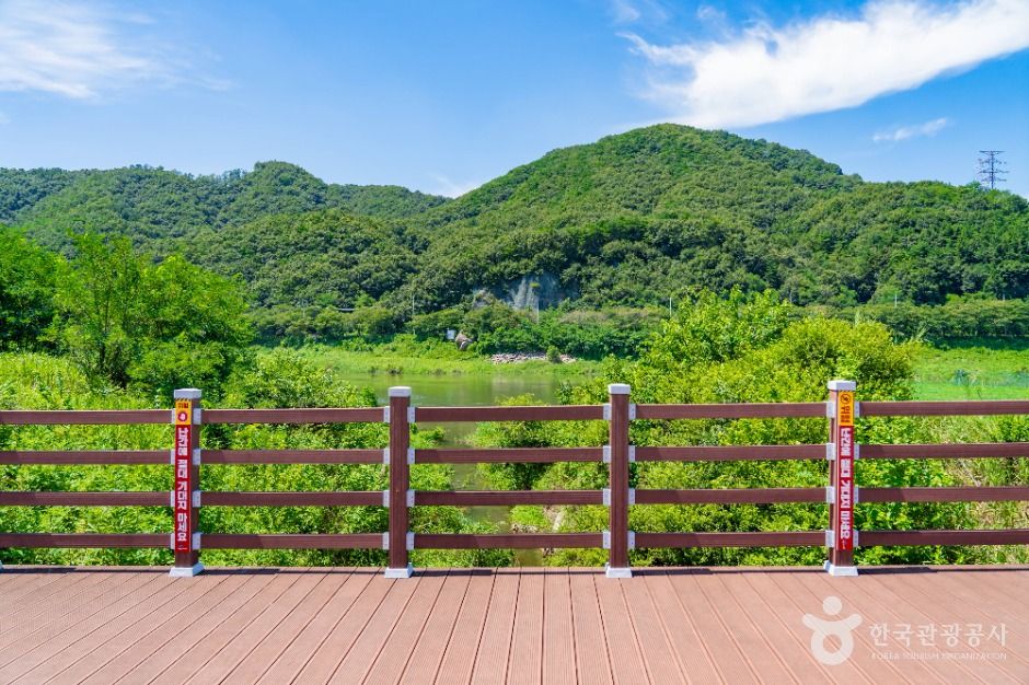 세종_부용체육공원 (4)