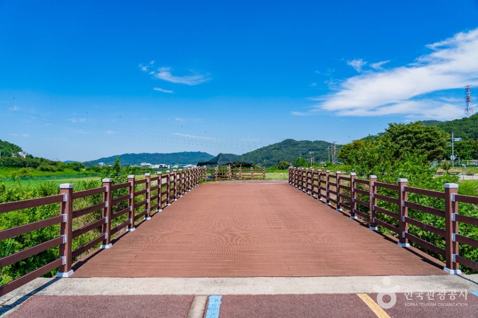 세종_부용체육공원 (3)