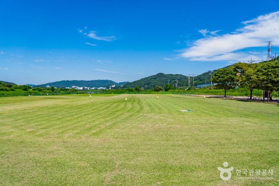 세종_부용체육공원 (5)