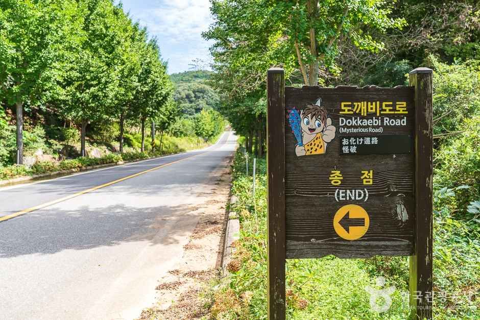 비암사 도깨비도로 (2)