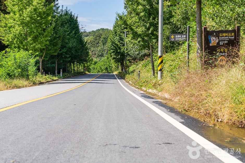 비암사 도깨비도로 (10)