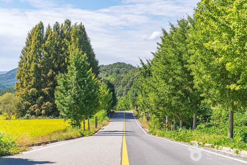 비암사 도깨비도로 (15)