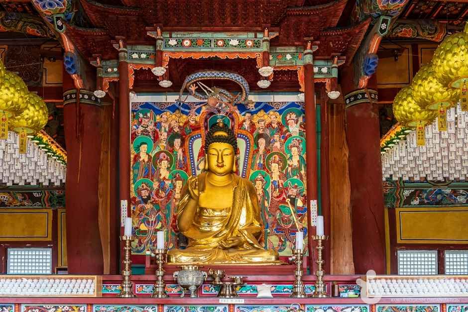 비암사(세종) (6)