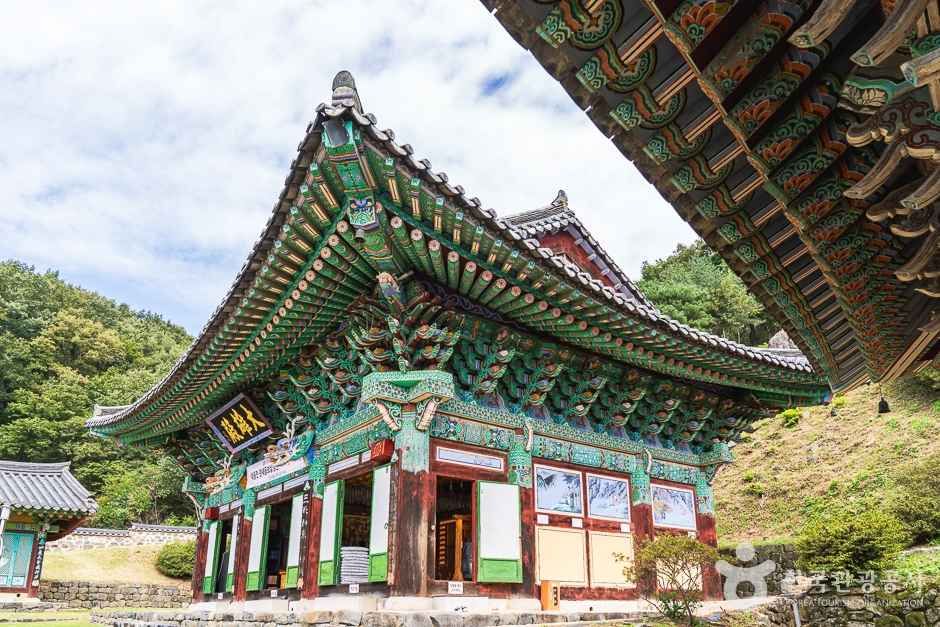 비암사(세종) (8)