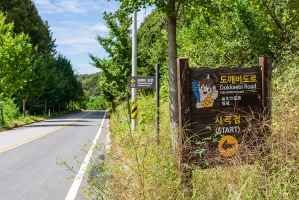 비암사 도깨비도로